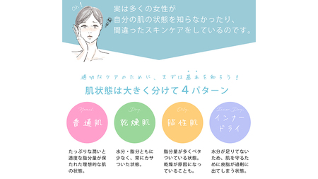 【 ギフト対応 】 美ルル スキンチェッカー USB