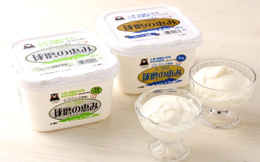 球磨の恵み ヨーグルト 2パック & ドリンクヨーグルト8本 セット