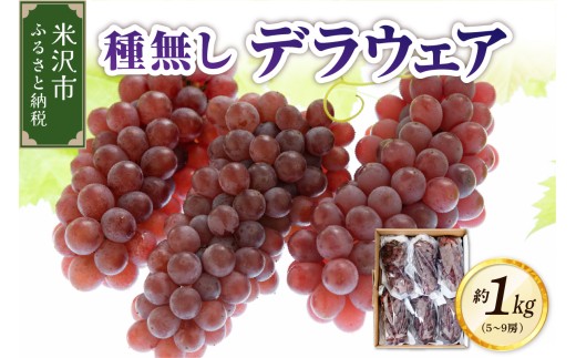 【先行予約】 令和8年産 ぶどう 種無し デラウェア 約1kg 5房 ～ 9房 フルーツアドバイザー 厳選 2026年8月上旬頃 お届け予定 山形県 米沢市