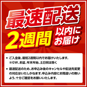 【最速配送】中山牧場 佐賀牛ヒレステーキ 約1kg【E027】