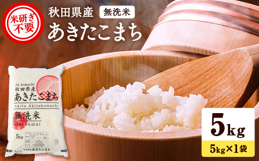 
            秋田県産あきたこまち 5kg 無洗米 令和6年産 新米 あきたこまち 米 ふるさと納税 ふるさと 人気 ランキング [B5-2501]
          