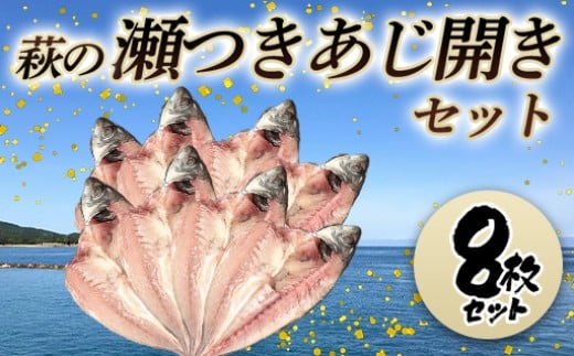 萩の瀬つきあじ開きセット(8尾入り)　｜HGH00091