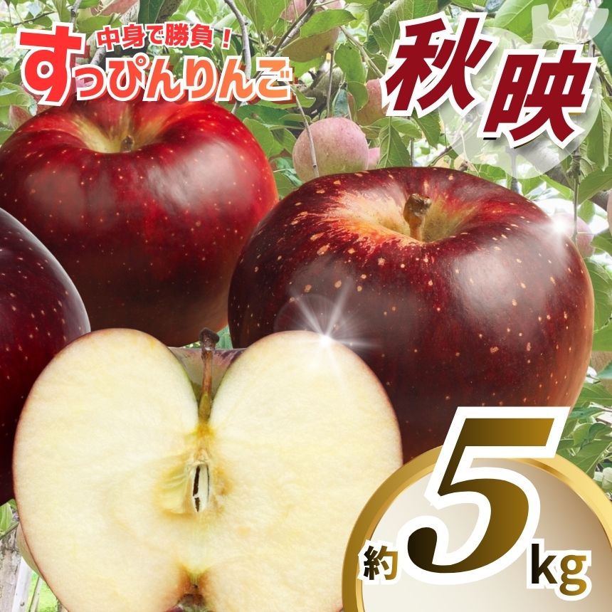 【ふるさと納税】【数量限定】樹上完熟 葉取らず 秋映 りんご【2026年 先行予約】| 9月 下旬より発送 すっぴんりんご 産地直送 国産 先行予約 5kg 林檎 フルーツ 果物 栃木県矢板市産