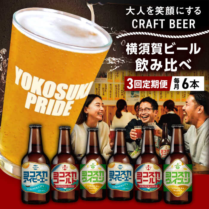【ふるさと納税】【全3回定期便】飲み比べ ビール 3種　6本セット （330ml瓶×計18本）クラフトビール 【有限会社たのし屋本舗】[AKAE050]