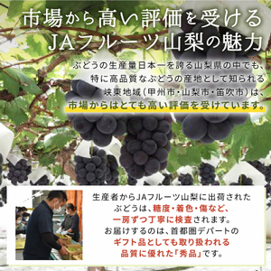 ハウス種無しピオーネ(3～4房)/80【配送不可地域：離島】【1299403】