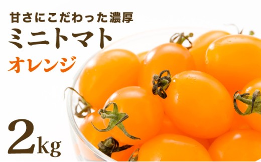 【先行販売】【ファーム雫】甘さにこだわった濃厚オレンジミニトマト ２kg【a127-004】 オレンジ