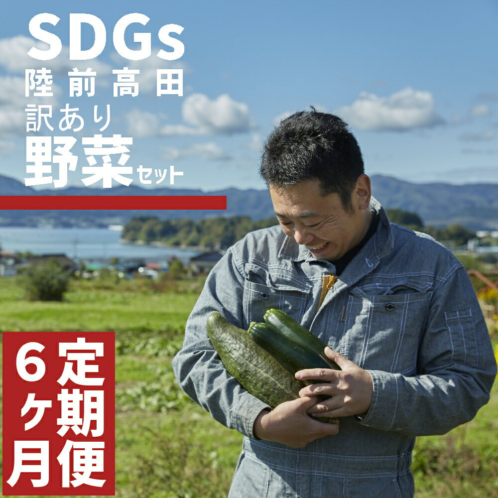 【ふるさと納税】[ 定期便6ヶ月 ] 訳あり おためし 野菜セット 約3〜4種 農家のおすそわけ [ 野菜 やさい ベジタブル 季節 旬 お試し 冷蔵 詰め合わせ セット SDGs お楽しみ こだわり 料理 産地直送 岩手 陸前高田 ひころいちファーム ] 大根 白菜 トマト ブロッコリー など