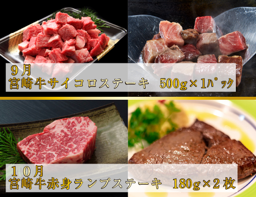 【ステーキ定期便】百名店ステーキコース 全6回（牛肉 黒毛和牛 ヒレ モモ サーロイン ロース ハンバーグ 赤身 希少部位 定期便）
