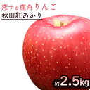 【ふるさと納税】《 先行予約 》令和6年産 鹿角 りんご 秋田紅あかり 約 2.5kg かづのりんご 食感 果汁 さっぱり リンゴ 完熟 旬 りんご 林檎 お中元 お歳暮 贈り物 お見舞い グルメ ギフト 故郷 秋田 あきた 鹿角市 鹿角 紅あかり 送料無料 【恋する鹿角カンパニー】