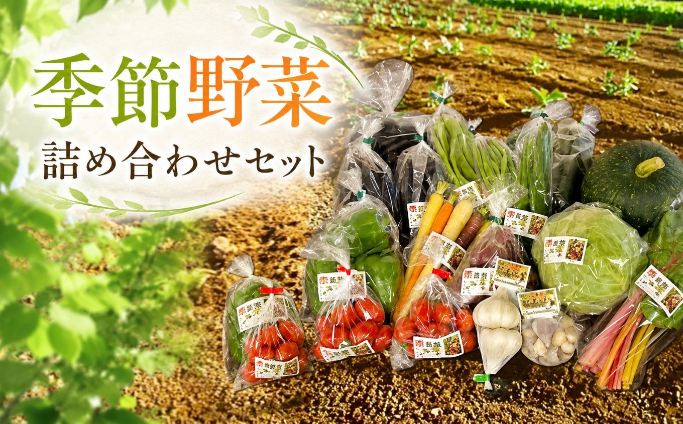
            季節野菜の詰め合わせセット 旬野菜 | 野菜 健康 旬の詰め合わせ  大分県産 九州産 中津市 国産 送料無料
          