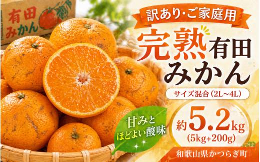 【訳あり・ご家庭用】完熟有田みかん  サイズ混合(2L～4L)　約5.2kg(5kg+200g)【2026年11月中旬～1月中旬頃に順次発送予定】