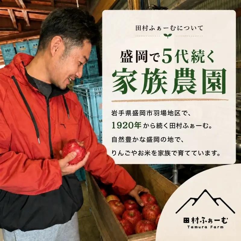 先行予約 家庭用ジョナゴールド3kg(8~12玉) 10月発送 りんご 訳ありりんご 田村ふぁーむtamura007