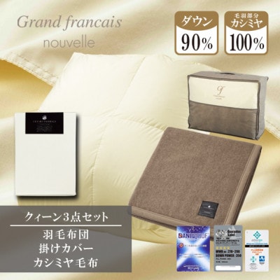 【クィーン】羽毛布団(掛カバー付)　ハンガリー産ダウン90%&カシミヤ毛布【複数個口で配送】【4075178】