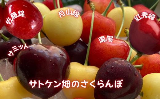 8-080-001　サトケン畑のさくらんぼ定期便