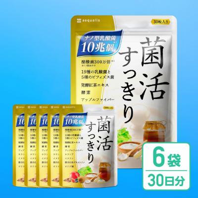 ふるさと納税 名古屋市 乳酸菌サプリメント 6袋
