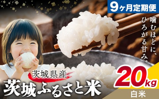 米 茨城 ふるさと米 白米 20kg 5kg×4袋 9ヶ月定期便 9回お届け 定期便《申込月の翌月より出荷》茨城県 結城市 米 国産 お米 おこめ お弁当 おにぎり