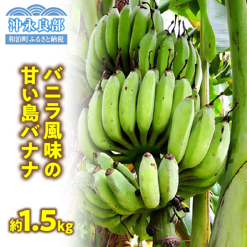 
            ■ 栽培期間中 農薬・除草剤・化学肥料不使用！バニラ風味の甘い島バナナ 1.5kg【2025年6月～2025年11月下旬お届け】　W043-006u
          