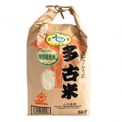 【毎月定期便】山口さんちの多古米コシヒカリ(玄米)5kg全6回【配送不可地域：離島】【4079911】