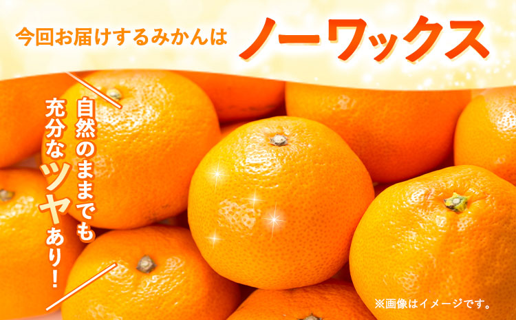 【先行予約】有田みかん 秀品 5kg(サイズおまかせ)とち亀物産 紀伊国屋文左衛門本舗《2024年10月下旬-1月中旬頃出荷予定》和歌山県 日高町 有田みかん みかん 果物 フルーツ ブランド果実
