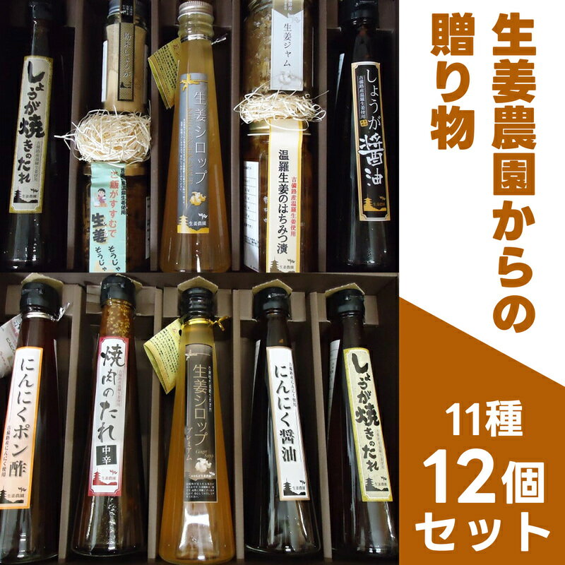 【ふるさと納税】生姜農園からの贈り物　11種　12個　しょうが焼き　粉末　佃煮　シロップ　はちみつ漬け　ジャム　醤油　焼肉のたれ　ポン酢　生姜　しょうが　ジンジャー　ジンジャーシロップ　手作り　総社　そうじゃ