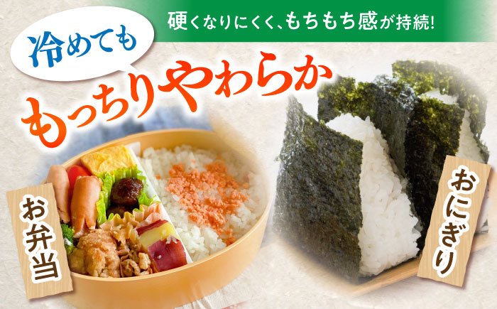 【特別栽培米】 ヒノヒカリ 10kg (5kg×2袋) / 米 精米 白米 ごはん ご飯 ひのひかり / 南島原市 / 農家民宿　いちご一会 [SBN002]