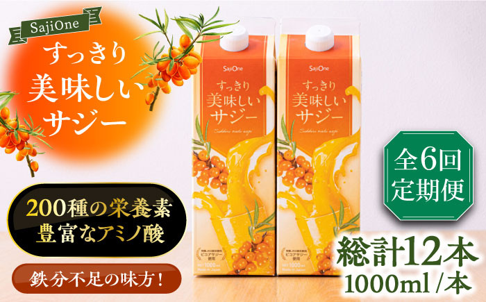 
                  【全6回定期便】美味しいサジーが毎月届く！すっきり美味しいサジー 1000ml×2本《豊前市》【ハウスボトラーズ】[VAX039] サジージュース 飲料 ドリンク サジー 健康 美容 ビタミンC 鉄分 ジュース スーパーフルーツ さじー 紙パック 飲みやすい
                