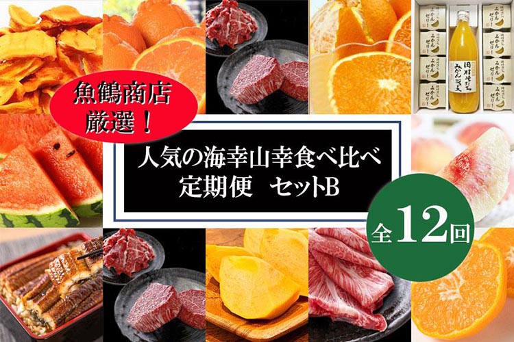 〈毎月定期便〉人気の海幸山幸食べ比べ セットB 【定期便全12回】【魚鶴厳選】◆