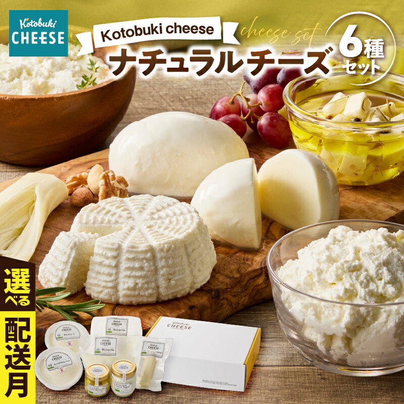 【ふるさと納税】＜配送時期が選べる＞ チーズ 詰め合わせ kotobuki cheese ナチュラルチーズ セット モッツァレラ カノヤ リコッタ ハーブオイル漬け ストリング ギリシャヨーグルト 鹿屋産 サラダ おつまみ 冷蔵 鹿児島 鹿屋市 おすすめ ランキング プレゼント ギフト