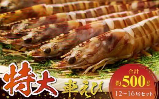 S059-020_特大 車エビ 2パック セット