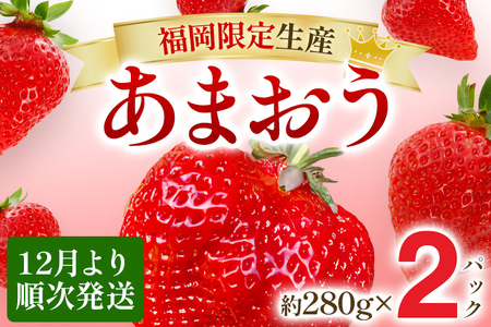 期間限定 【12月より順次発送】あまおう グランデサイズ以上 約560g（約280g×2パック） 苺 イチゴ いちご フルーツ 果物 ブランド くだもの 福岡県産