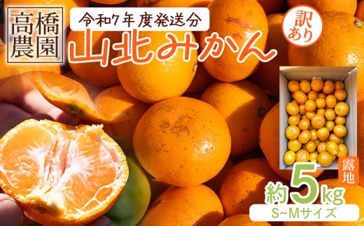 
                  【2026年11月中旬より順次配送】みかん 5kg 小玉 大玉 訳あり 高橋農園 山北みかん 露地(Ｓ～Ｍ)Ｂ品 - 果物 フルーツ ミカン 蜜柑 柑橘 家庭用 自宅用 新鮮 農家直送 露地 10,000円 10000円 1万 甘い 糖度 人気 高知県 香南市 甘い th-0031
                