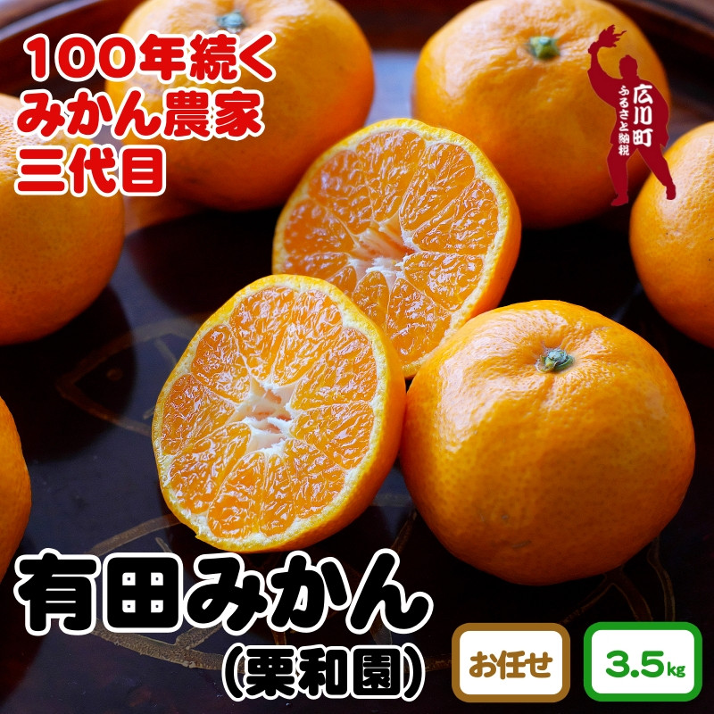 
            ▼和歌山県産　有田みかん 約3.5kg ※11月上旬～12月下旬頃に順次発送予定 【krw004-r-3d5】
          