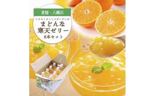 愛媛限定栽培品種 まどんな寒天ゼリーセット8本 ミヤモトオレンジガーデン＜C25-25＞_ゼリー 寒天 デザート スイーツ セット まどんな みかん ミカン 柑橘 フルーツ ふるーつ 果物 くだもの 愛媛 食べ比べ 産直 産地直送 飲むゼリー 国産 【1044274】 YWTAP018