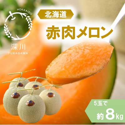 ＜令和8年産先行受付＞北海道産赤肉メロン 優品または秀品・5玉入り(約8kg)