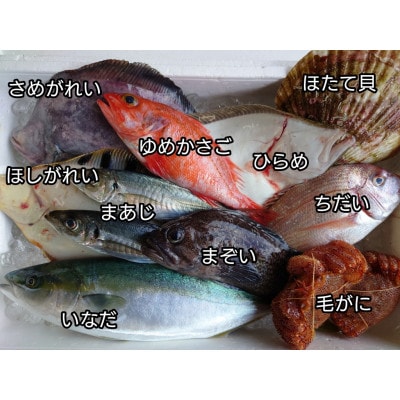 三陸宮古の活き活き鮮魚詰合せ【配送不可地域：離島・沖縄県・九州】【1349436】