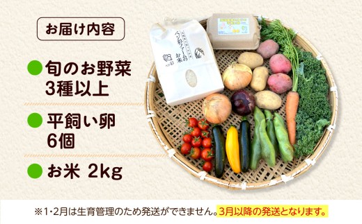 詰合せ 詰め合わせ つめあわせ セット 新鮮 産地直送 おまかせ 野菜 やさい 野菜セット 米 お米 卵 人気 おすすめ