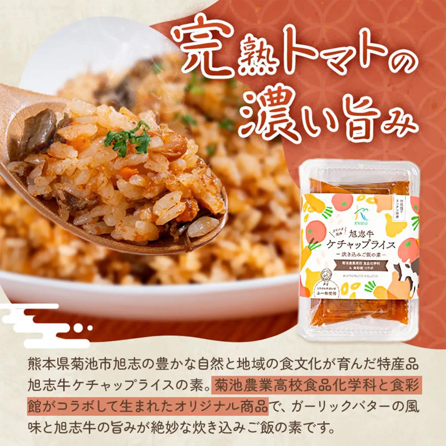 鶏釜めしの素 ケチャップライスの素 計10パック 有限会社旭志村ふれあいセンター《30日以内に出荷予定(土日祝除く)》熊本県 菊池市 釜飯 かま飯 ケチャップライス 炊くだけ 簡単 ご飯