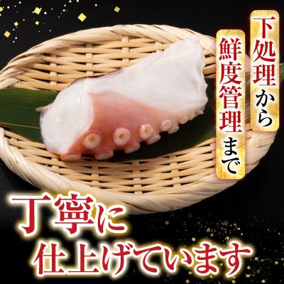 ふるさと納税 根室市 【北海道根室産】たこ足800g前後〜1.4kg前後×1本 A-76028 |  | 02