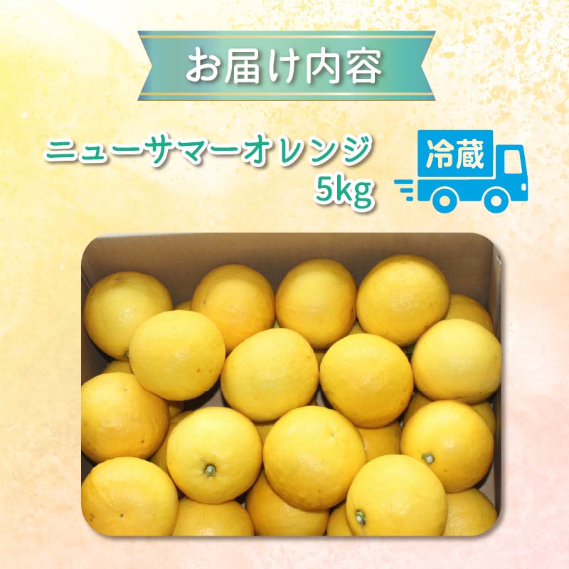 ニューサマーオレンジ 5kg 先行予約 4月より順次発送 旬 柑橘 みかん ミカン オレンジ orange フルーツ 果物 くだもの ニューサマー 国産 季節限定 産地直送 静岡県産 横山商店 静岡県