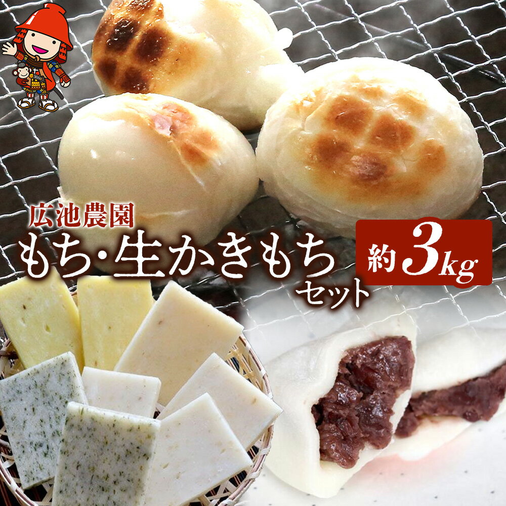 【ふるさと納税】【期間・数量限定】広池農園もち・生かきもちセット 約3kg (冷凍小もち500g×2 冷凍あんもち6ヶ入×2 生かきもち×3パック) | もち 生かきもち セット 小もち あんもち かきもち 白餅 よもぎ餅 餅 生餅 大分県 中津市【2026年1月中旬～2月下旬頃に発送予定】