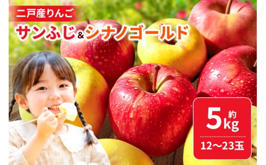 二戸産りんご サンふじ＆シナノゴールド 約5kg （12～23玉）