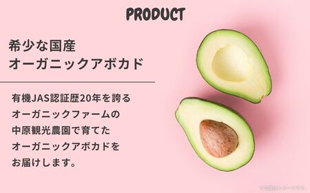 国産 オーガニックアボカド [ベーコン種] 2個　11〜12月発送 有機JAS認証 瀬戸内 大崎上島 有機 濃厚 アボカド