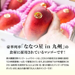 【令和9年発送】宮崎県産完熟マンゴー　「レッドクイーン」4～6玉 【 果物 フルーツ マンゴー 宮崎県産 完熟マンゴー みやざきマンゴー 先行予約 数量限定 期間限定 】