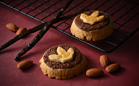 恐竜サブレ缶（小）【福井駅ティラノ缶】[A-135005_01]