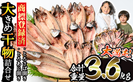 干物 あじ さば 旬 大きめ 計3.6kg 干物セット 【みのだ食品】 No.406-B