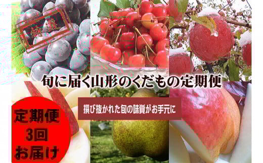 【定期便3回】旬に届く山形のくだもの定期便 【令和7年産先行予約】FU22-973 くだもの 果物 フルーツ 山形 山形県 山形市 2025年産