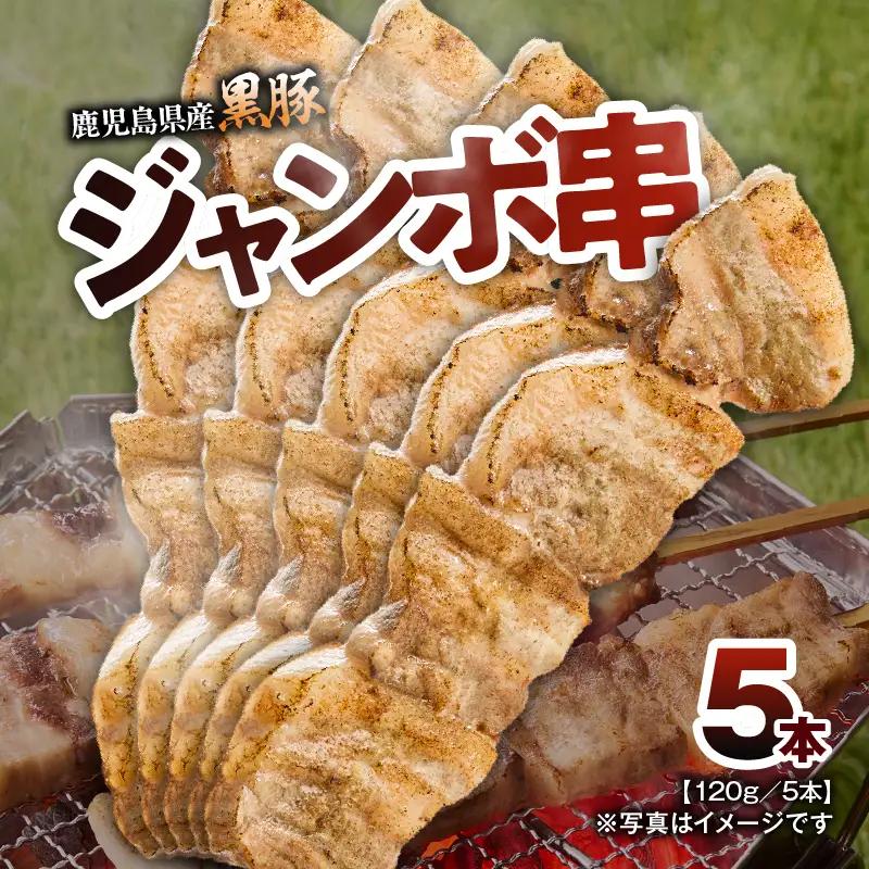 鹿児島県産 黒豚 ジャンボ 串 5本 （120g/本） KN054-015-01 豚肉 豚 肉 甘み 旨味 おいしい 美味しい 上質 さっぱり 脂 厳選素材 農場 直売 真心 ジャンボ串  惣菜 おかず 永吉 ふるさと納税 鹿児島 鹿屋市 おすすめ ランキング プレゼント ギフト