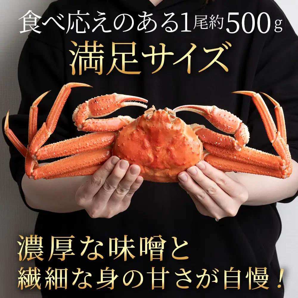北海道産 大ズワイ＜特大＞500g×3尾 オオズワイ 蟹 かに カニ ボイル AM212