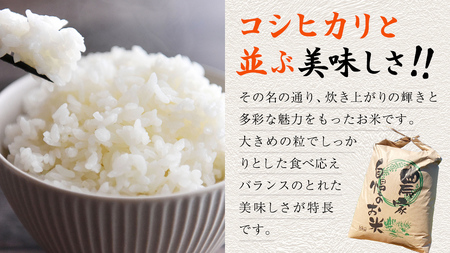 【 先行予約 】＜ 新米 ＞ 令和7年産 茨城県産 白米 にじのきらめき 5kg 【2025年9月下旬より発送開始】 国産 茨城産 茨城県産米 つくばみらい市 精米 お米 こめ おこめ ごはん ご飯 
