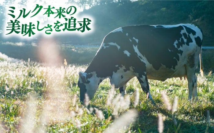 アイスクリーム プレミアム 濃厚 なめらか スイーツ デザート 島根県 雲南市